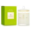 GLASSHOUSE - Triple Scented Soy Candle - We Met In Saigon (Lemongrass) 011775 380g/13.4oz